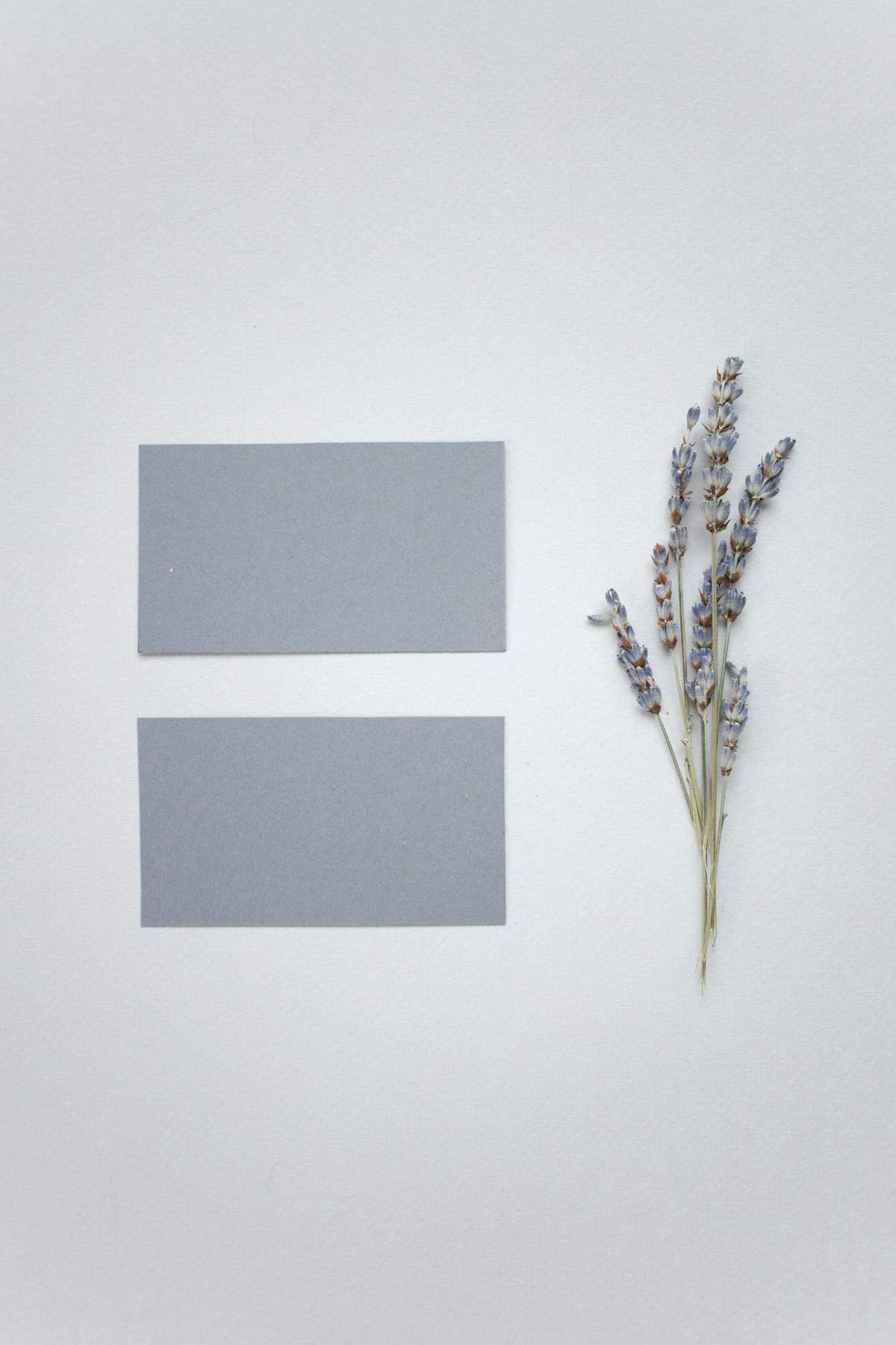 Top view of fray mock up business cards placed on white background with twig of flower in light modern studio